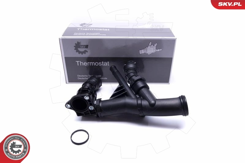 Thermostat, coolant